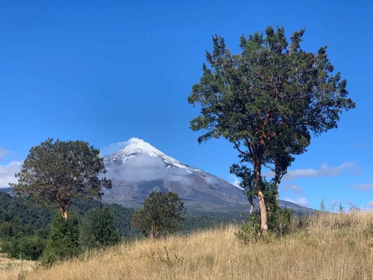 PARCELA DISPONIBLE Condominio GRAN ROBLE. (60 parcelas por Condominio)