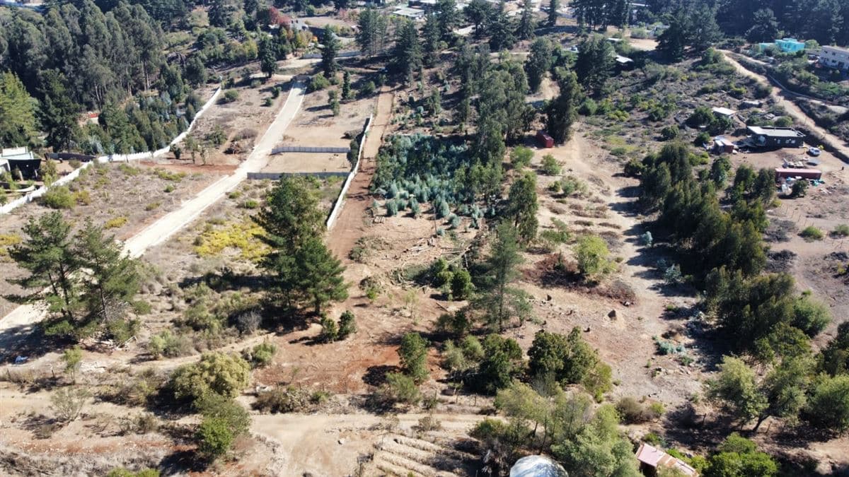 Los Pinos/Reñaca Bajo