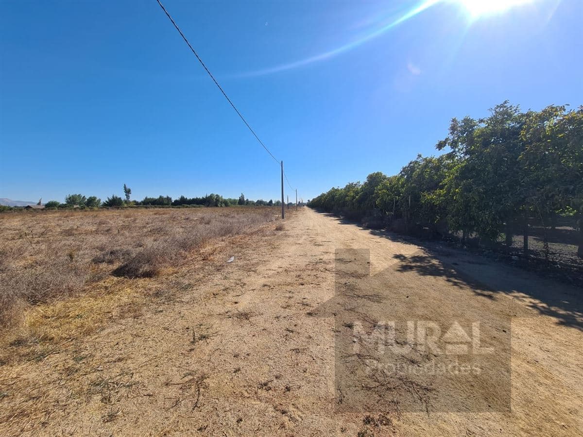 Camino El Oliveto - Balmaceda - Talagante 