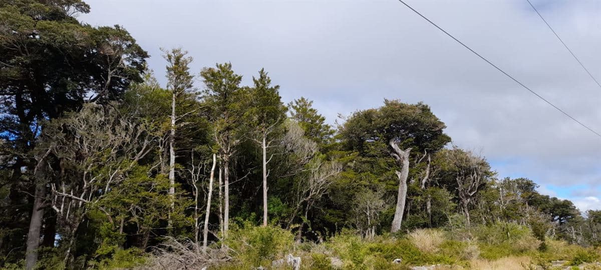 lado Parque Eolico San Pedro