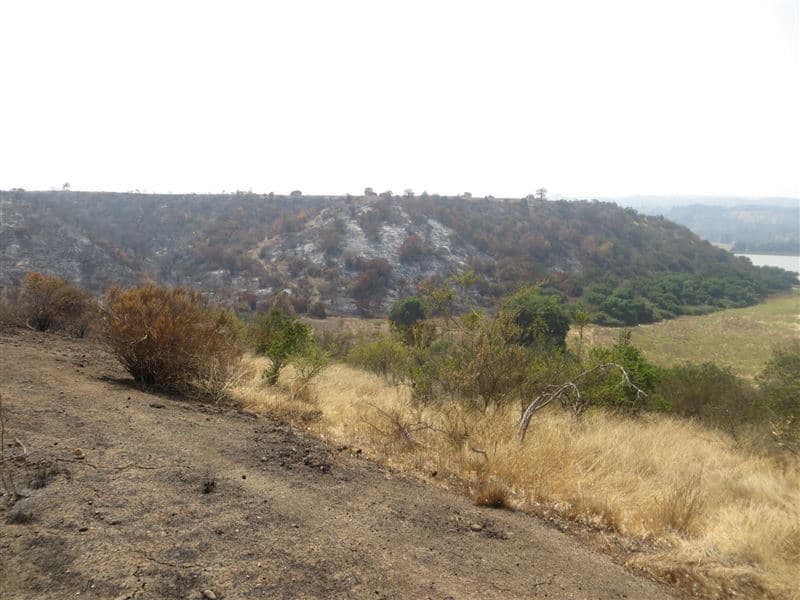 Camino a Portales .- Bucalemu