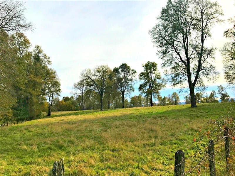 Camino Villarrica - Pucon