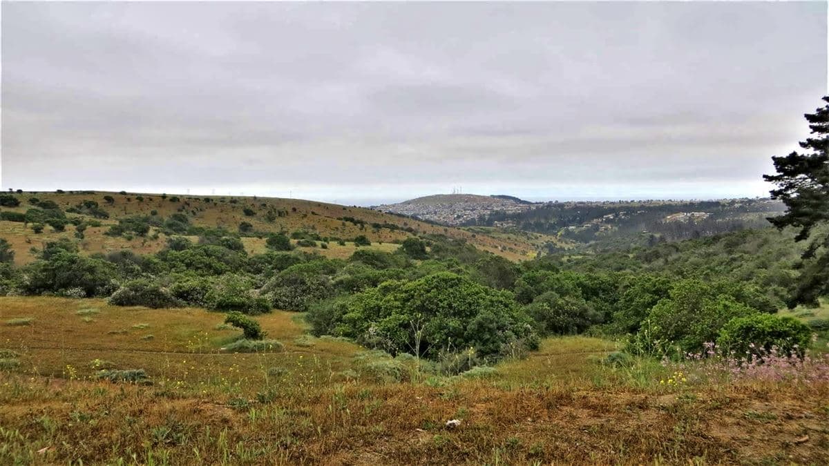 Hijuela Santa Raquel de LLolleo