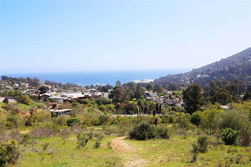 Lomas de Zapallar