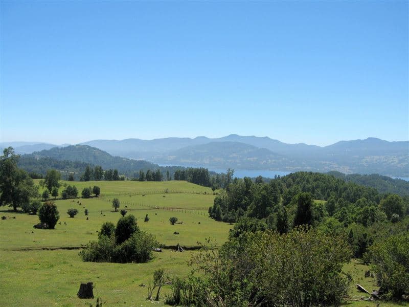 Lago Calafquen