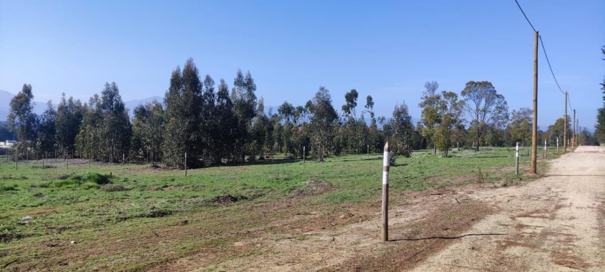 Camino Los Pescadores