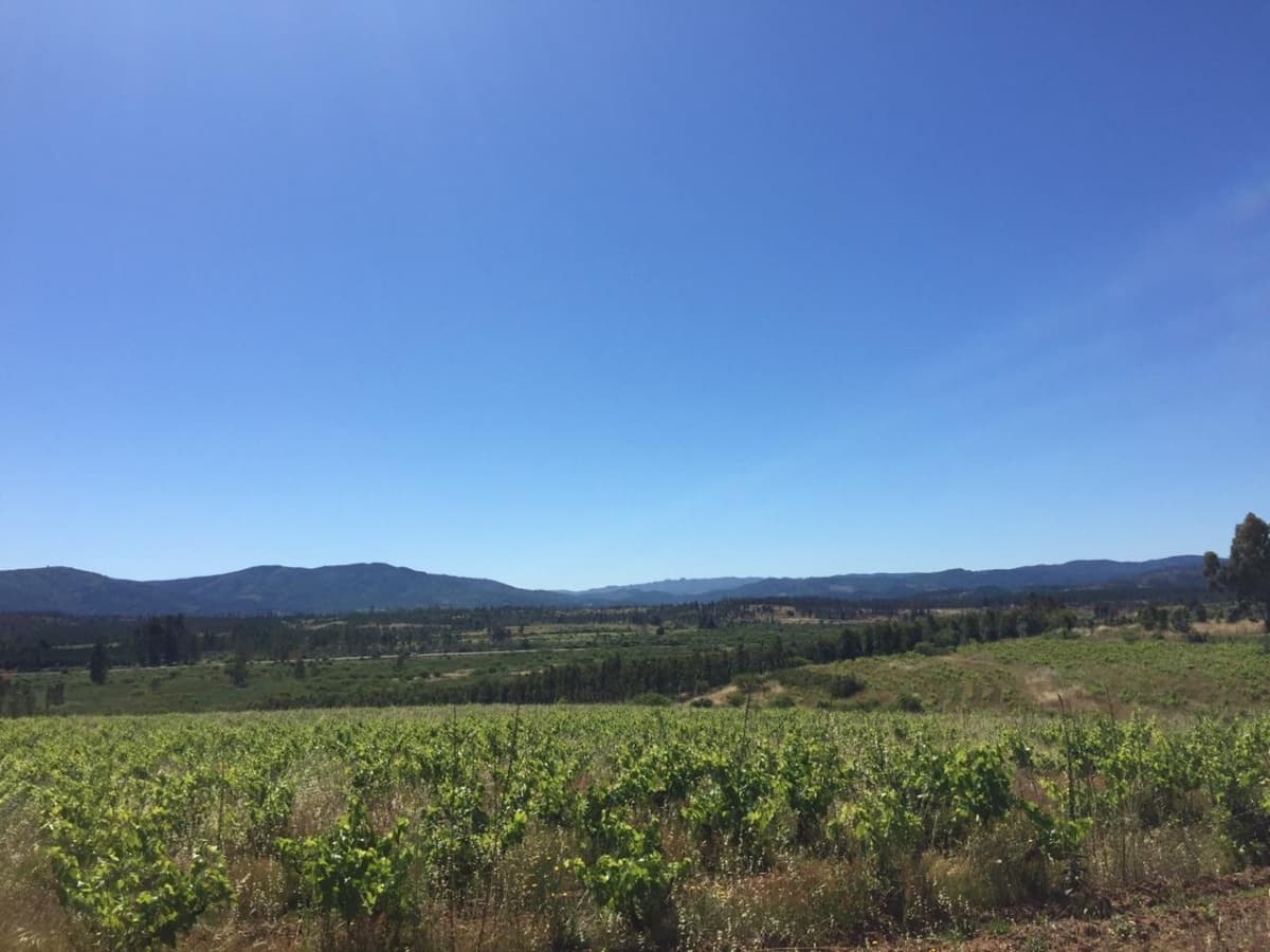 Cauquenes, Región del Maule, Chile