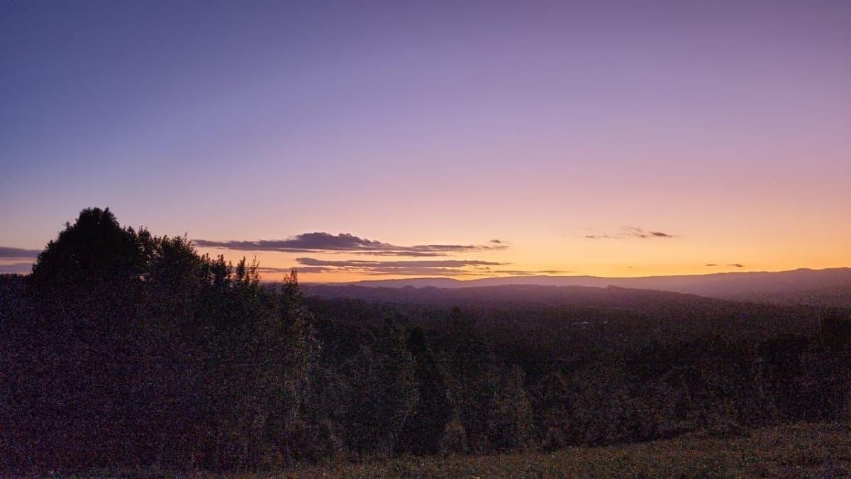 Valdivia, salida sur, km 19, ruta T-206, sector Casablanca