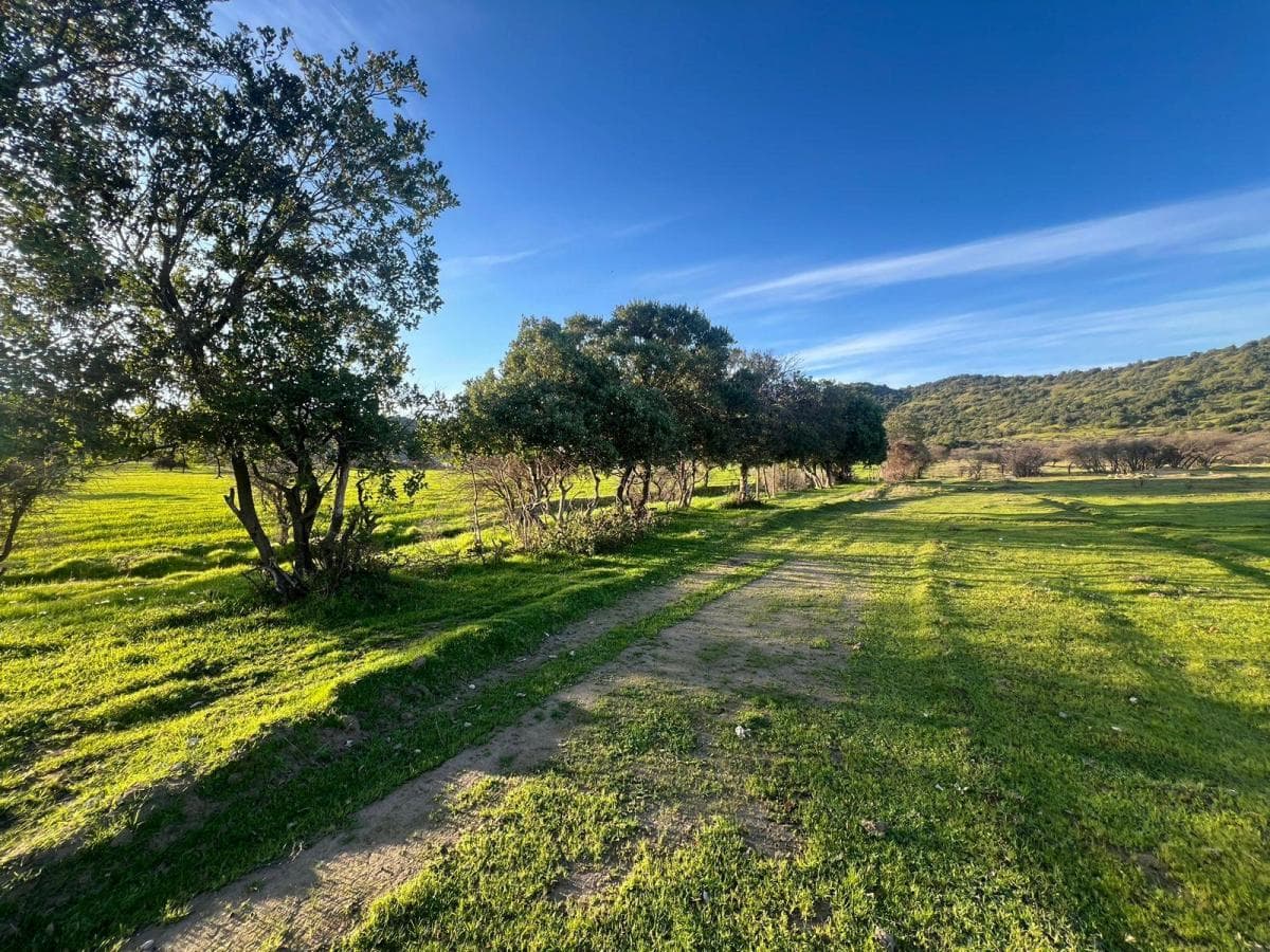 Marchigue sexta Region De Ohiggins