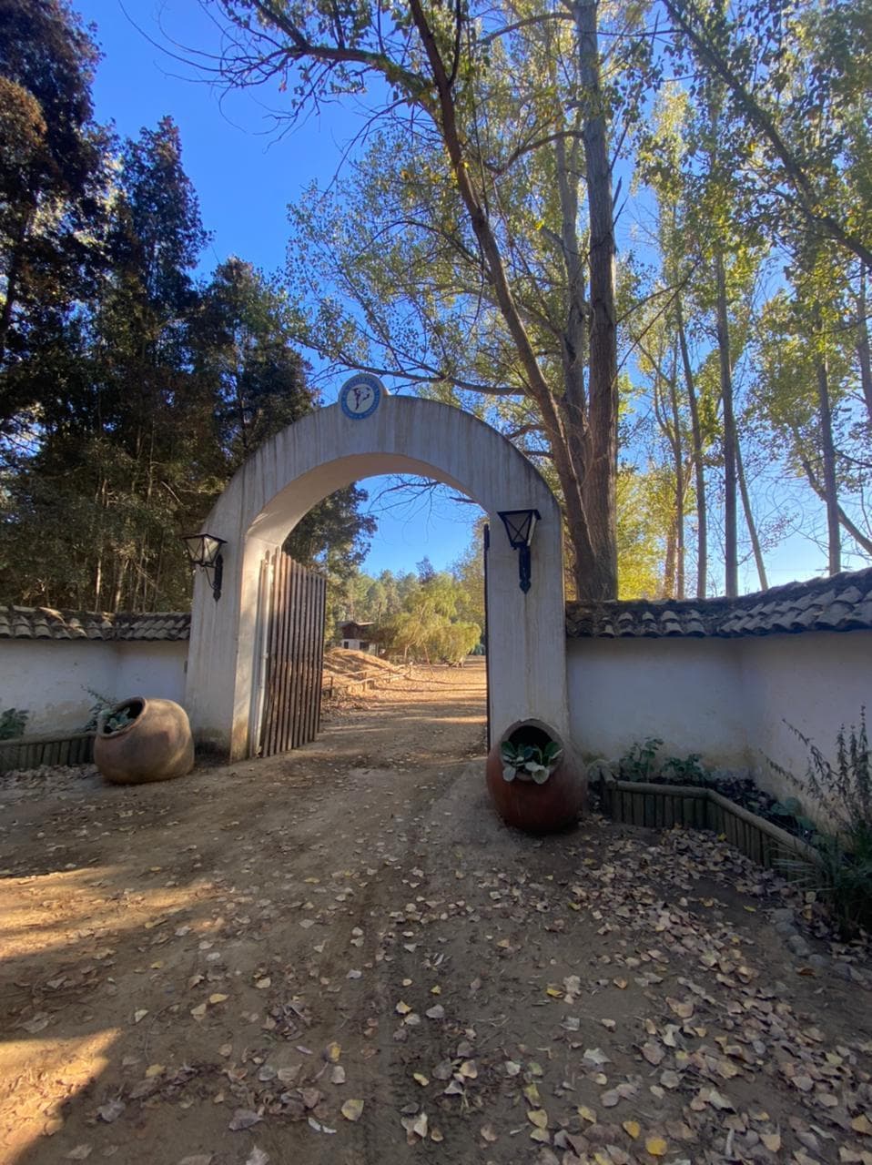 Al Contado Y con Credito Directo 