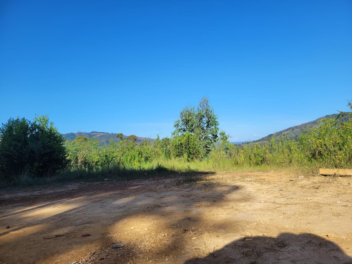 Camino a Santa Juana km 17