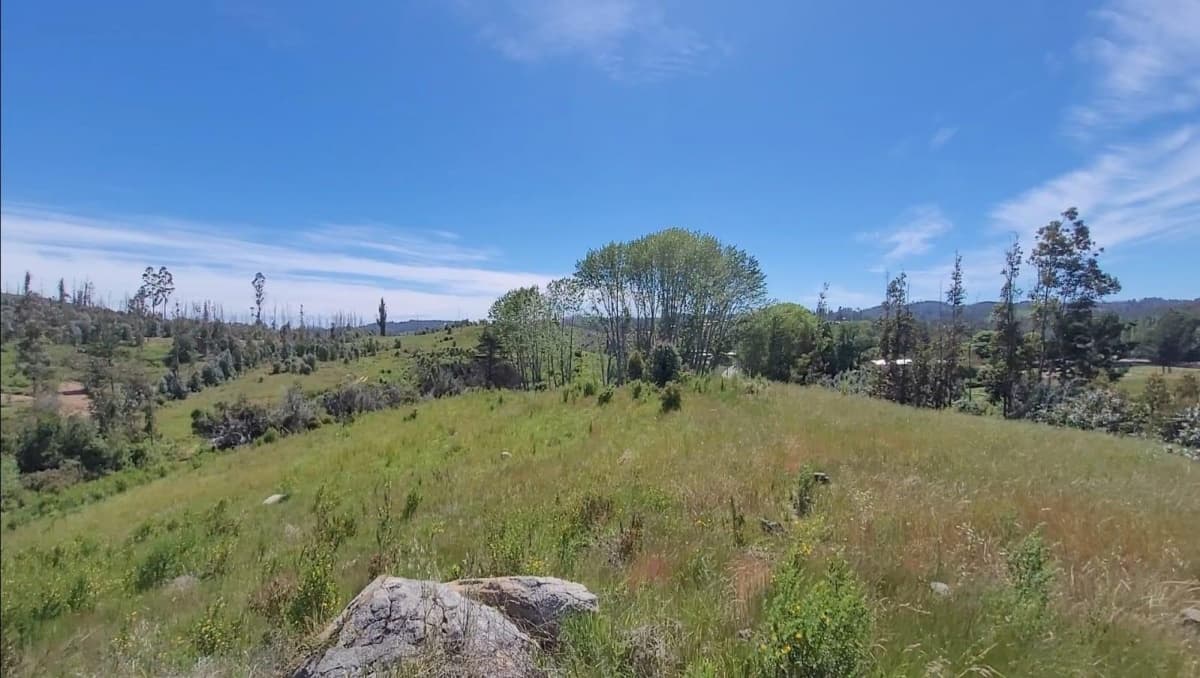 Camino Tomé - Rafael