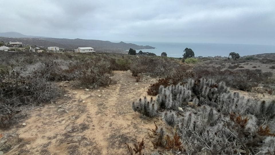 Ruta 5, kilómetro  499,6