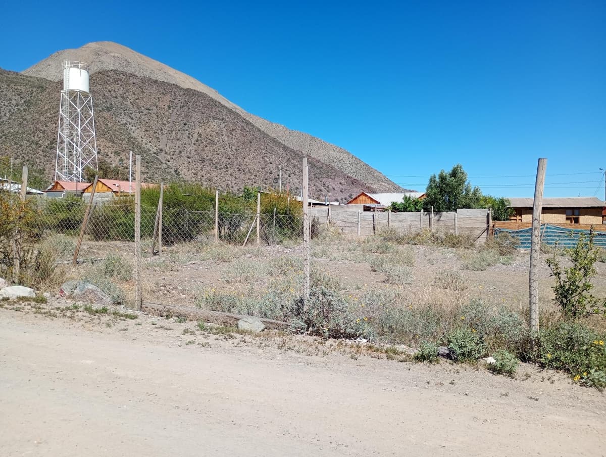 LA CAMPANA, VICUÑA 