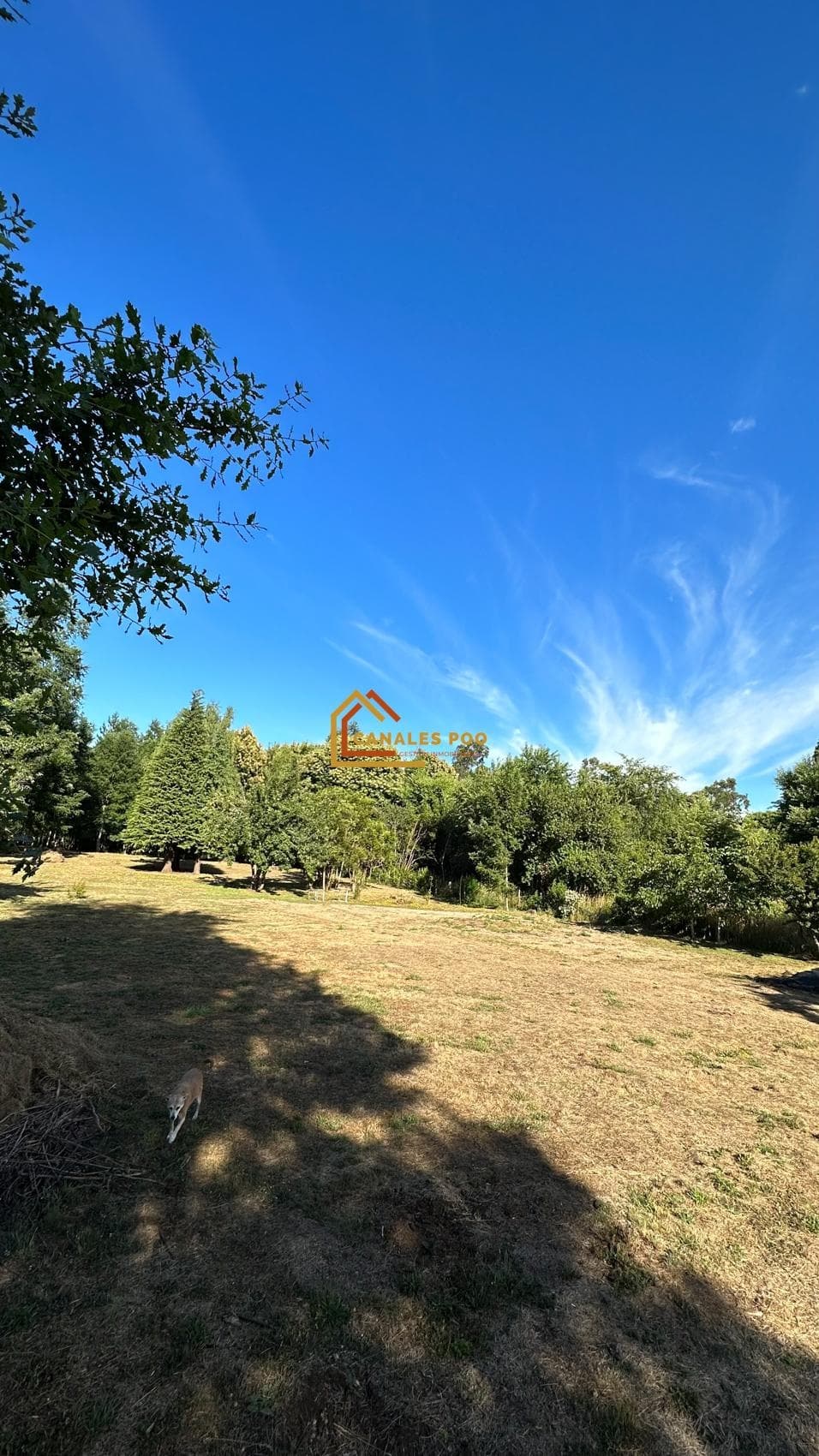 Camino Salto Donguil, Gorbea
