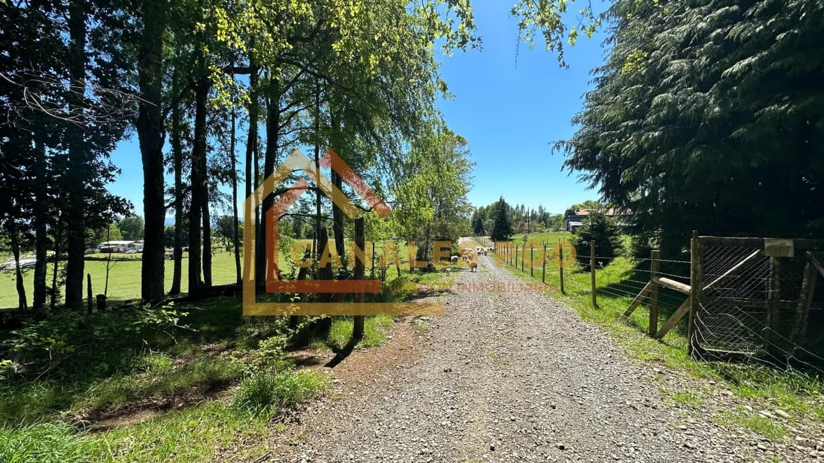 Camino Panguipulli Los Lagos