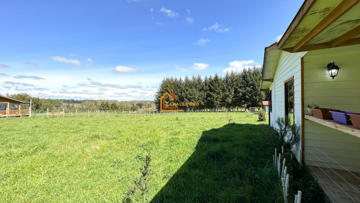 Lliu Lliu, Huiscapi, Loncoche