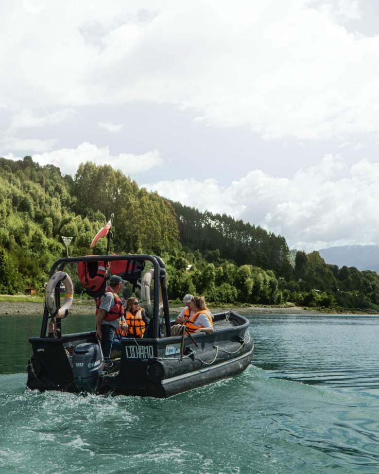 Ralún, sector corte roca km 9,3 lado izquierdo.