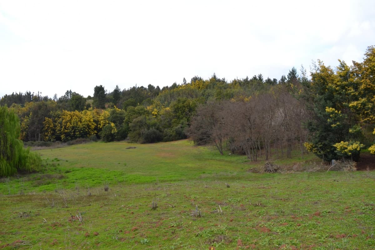 Fundo Santa Ana, Coyanco