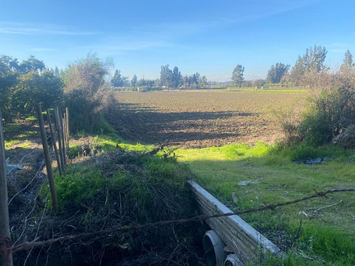 Naltahua, Isla de Maipo. 