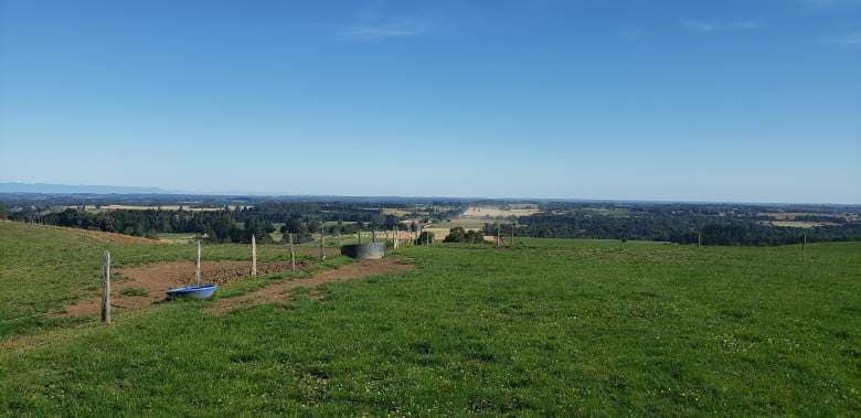 -41.253439, -73.214312