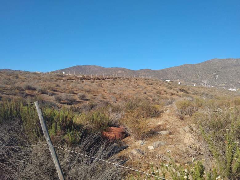 kilometro 18 camino Valle de Elqui