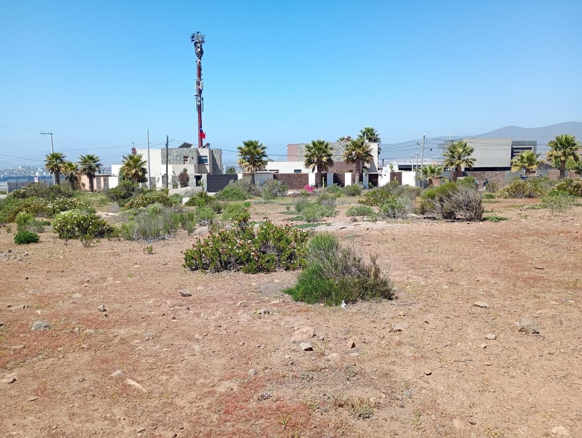 LA PUNTILLA -  LA HERRADURA COQUIMBO 