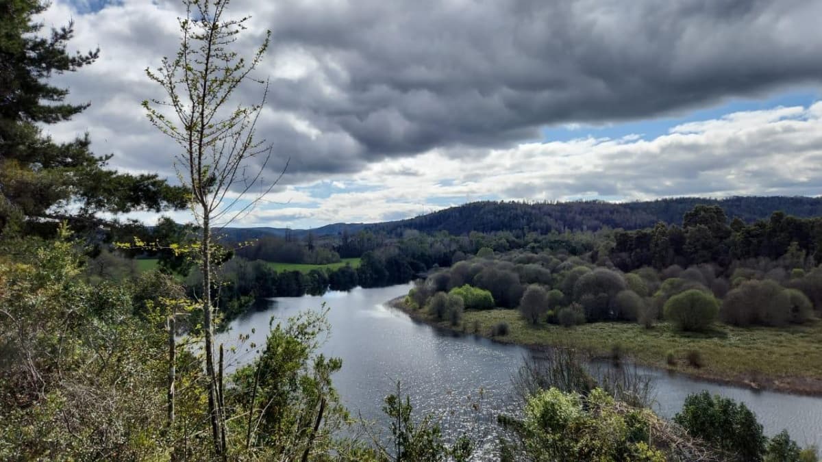 Ruta T-35 Valdivia - comuna Los Lagos, km 25