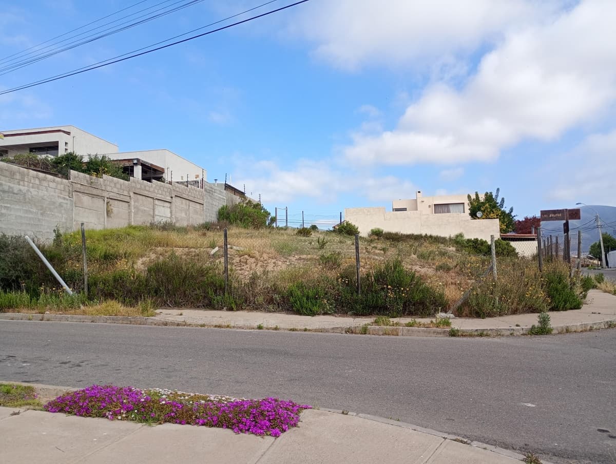 LA HERRADURA ORIENTE, COQUIMBO 