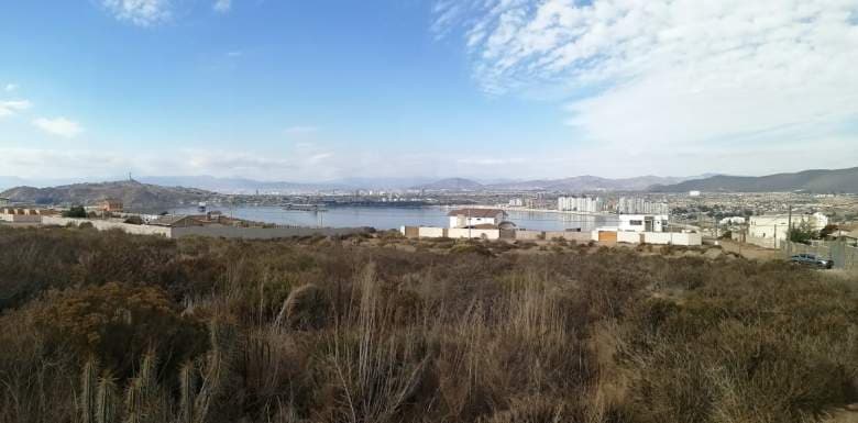 LA PUNTILLA LA HERRADURA COQUIMBO