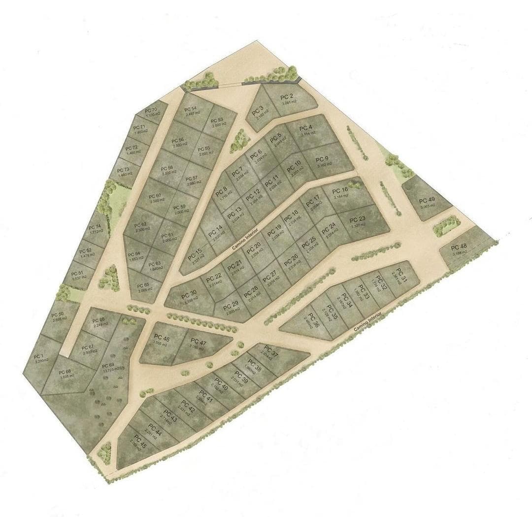 Fundó San Francisco 