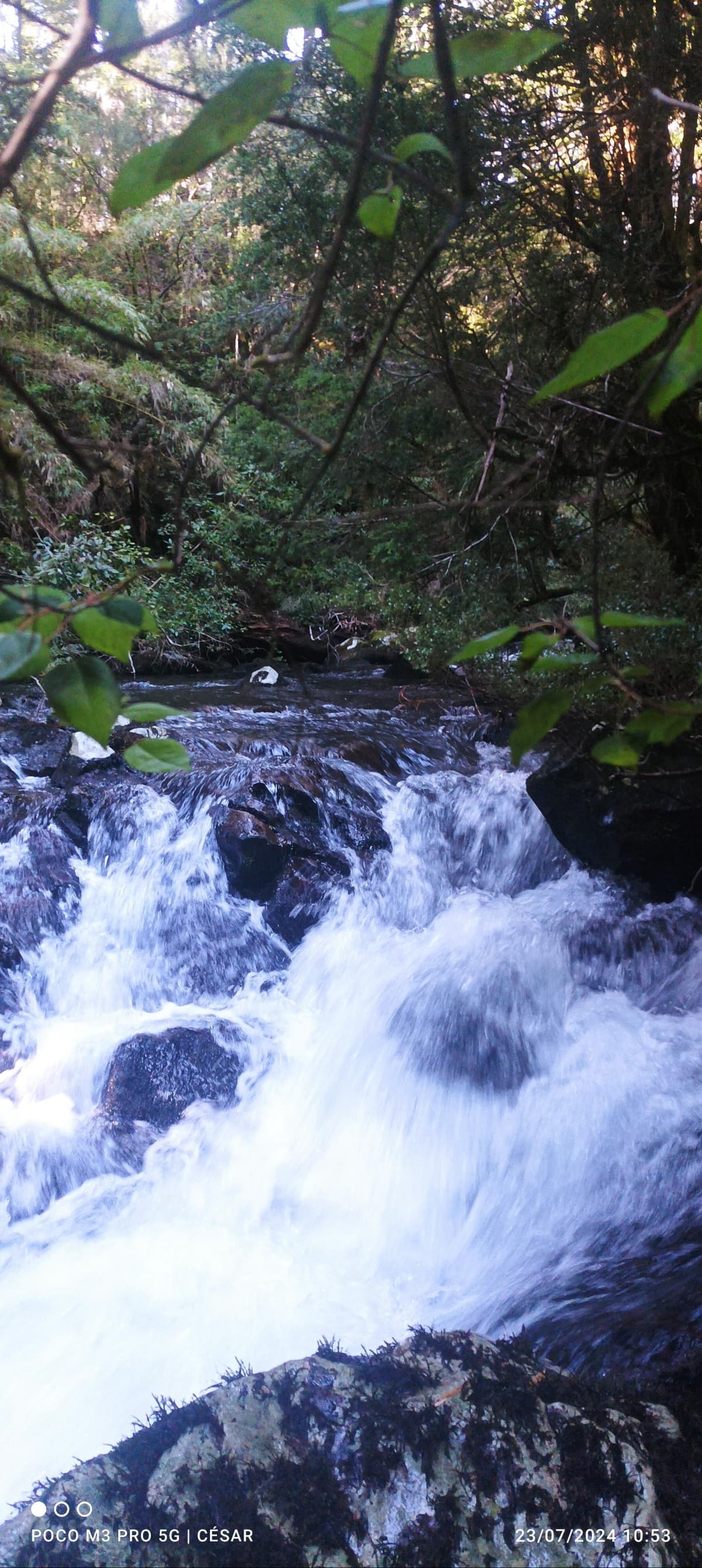 molulco,sanrta maria de llaima 