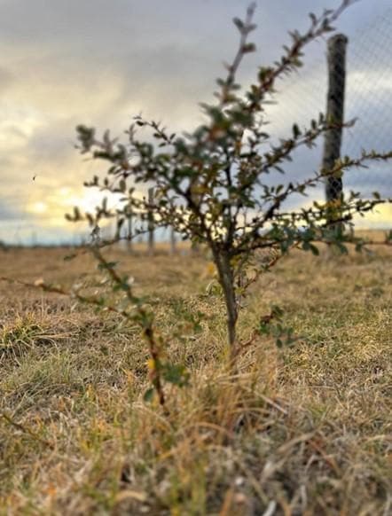 Terreno Camino 1, Gabriel Silva 440