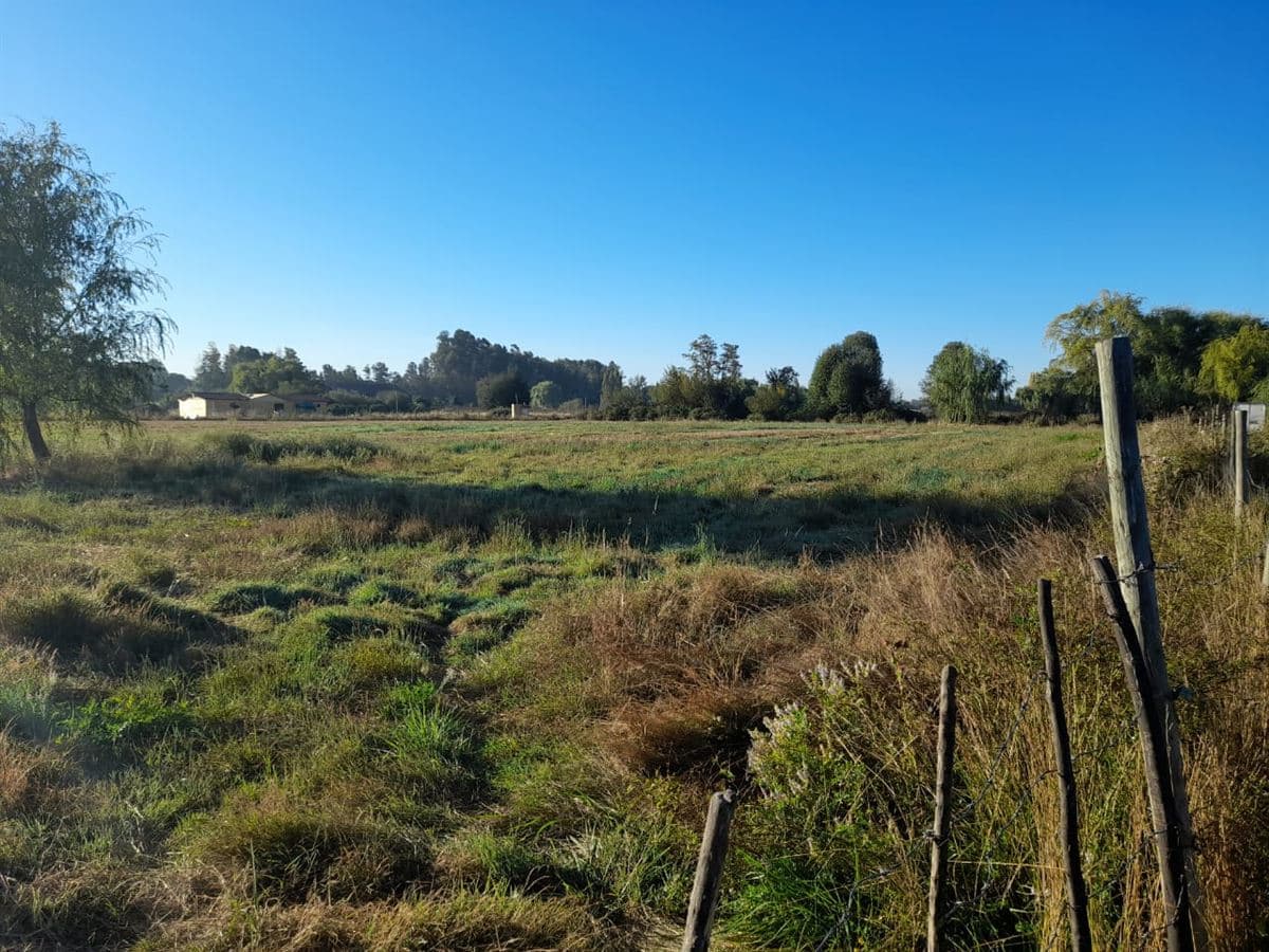 Camino a la Montaña KM 9 - Sector la Tercera - Comuna Longaví - VII Región.