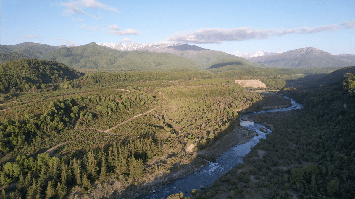 Bajos del rio Longavi