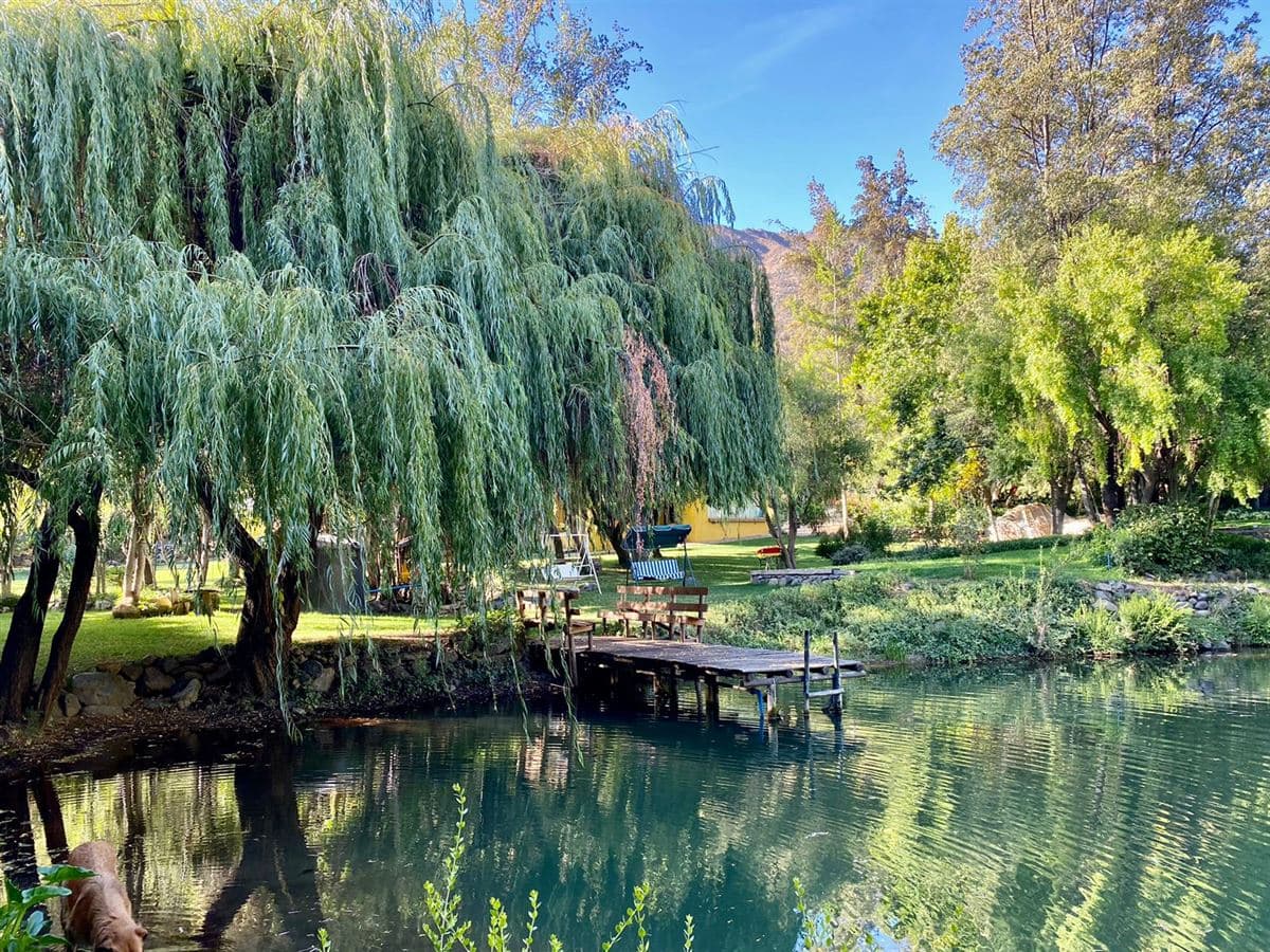 FUNDO SAN FRANCISCO LOS ANDES