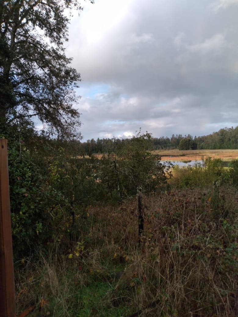 orilla río Cayumapu