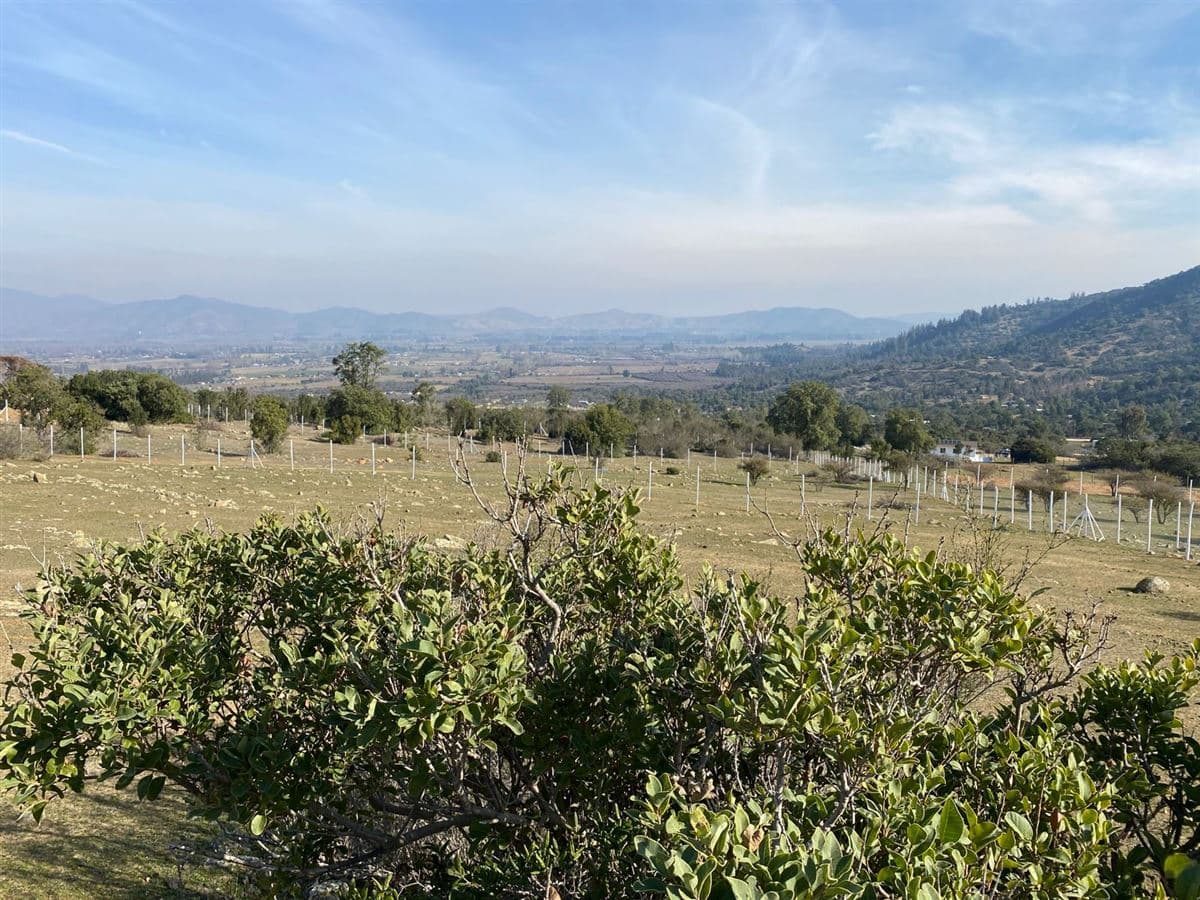 Cerro la Llaveria