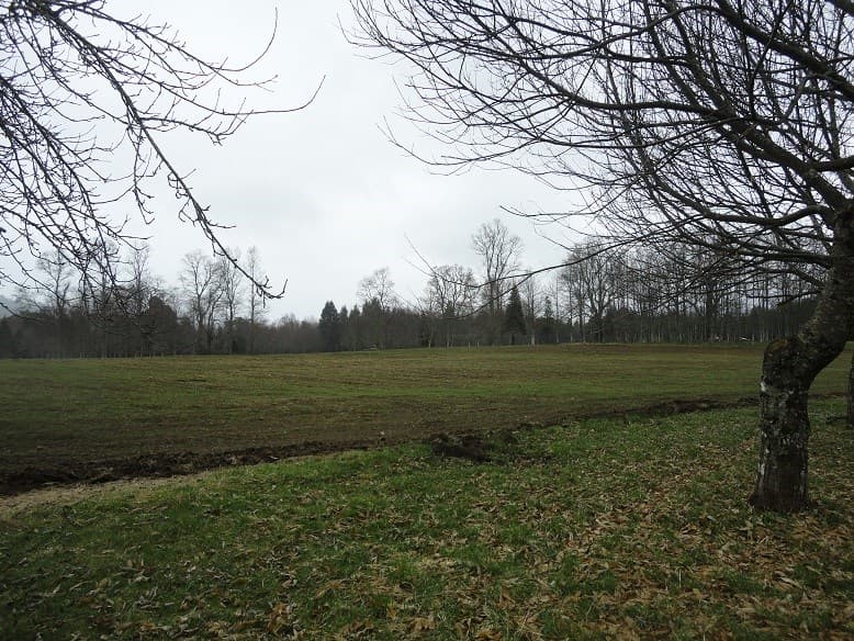 Localidad de Malalhue