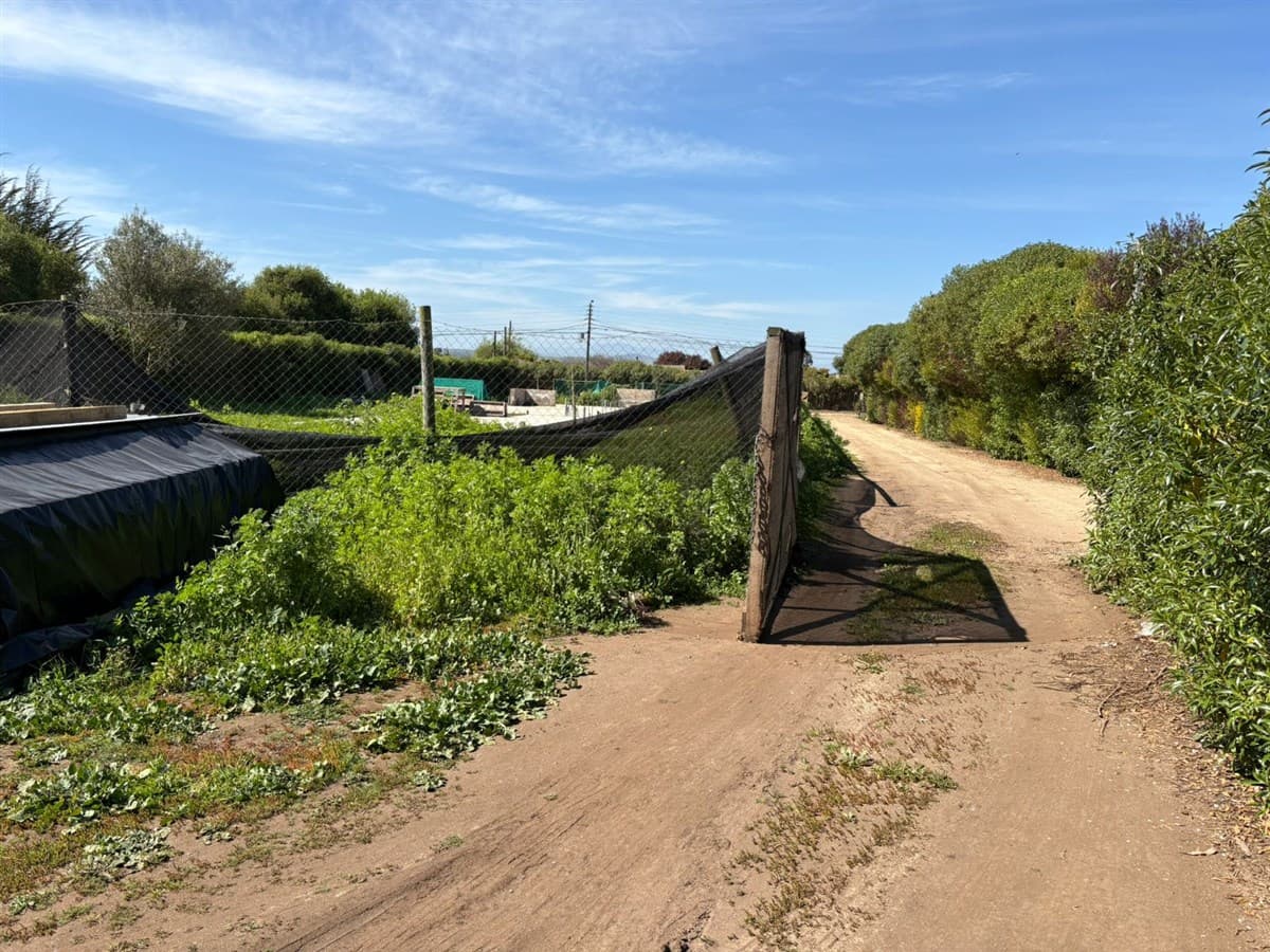 SECTOR HUASOS DOS SANTO DOMINGO