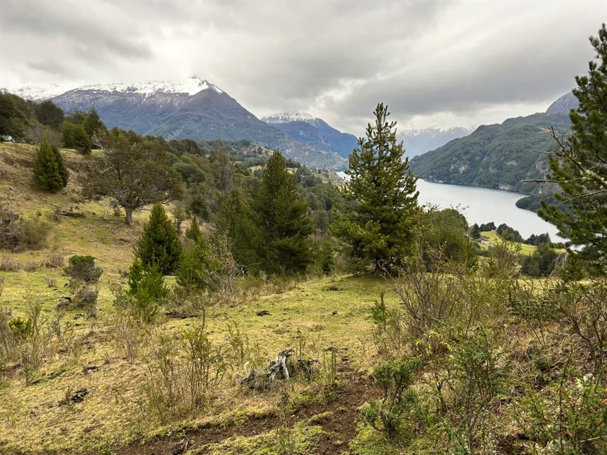 Lago Elizalde