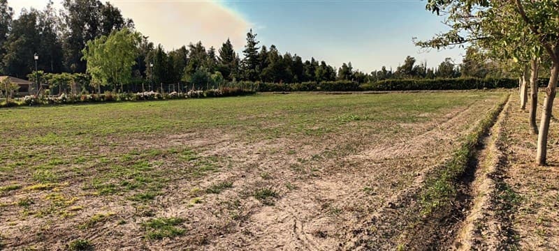 Santa Rita Altura 600, Pirque