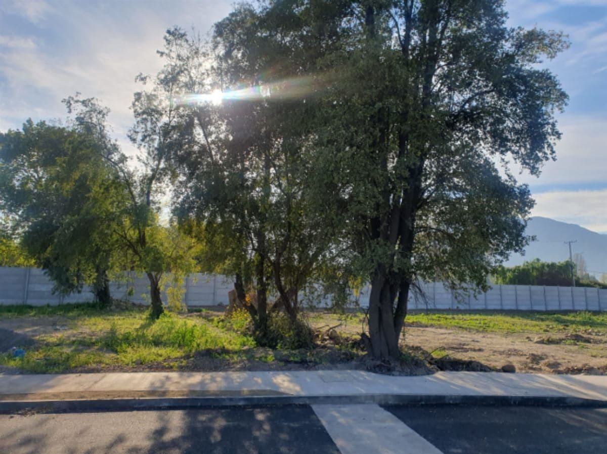 Ramon Subercaseaux 1200 cercano a calle los Almendros