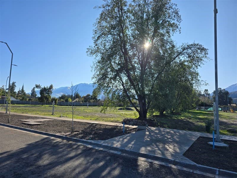 Ramon Subercaseaux 1200 cercano a calle los Almendros