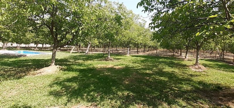 Santa Rita a 600 metros de Ramón Subercaseaux 