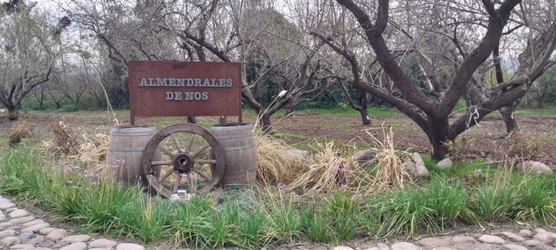 Camino Padre Hurtado y acceso sur