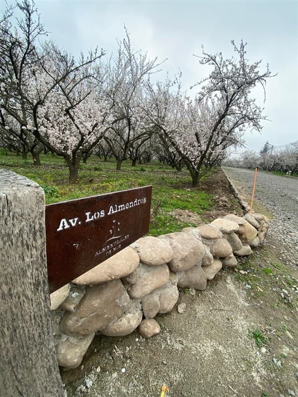 Camino Padre Hurtado y acceso sur