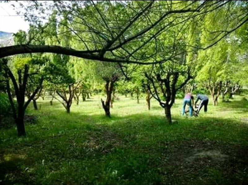 Sector Bahía Jara Comuna Chile Chico Provincia General Carrera 