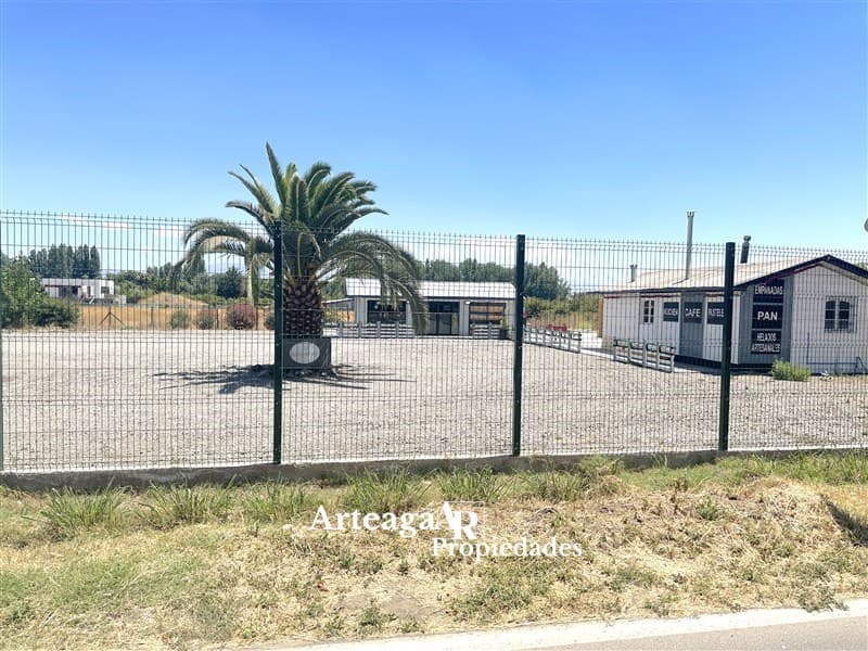Alba 2, Chicureo Centro
