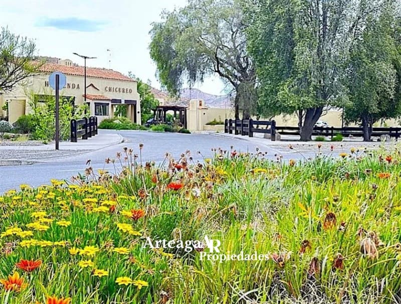Hacienda Chicureo